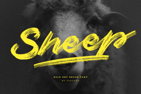 Sheep